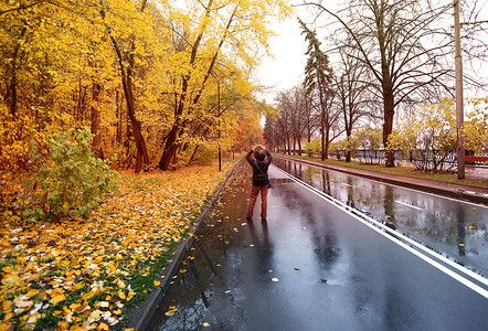 雨后秋林中美丽的铺砌道路图片