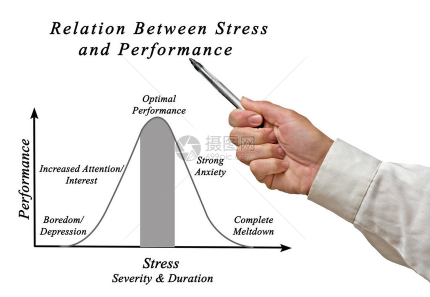 压力与能之间的关系应激反应与表图片