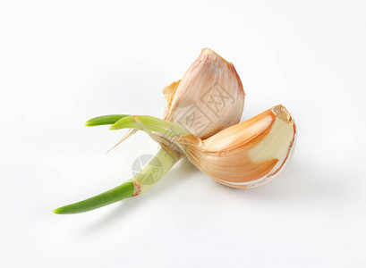 白色背景上的新鲜大蒜丁香图片