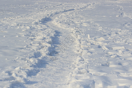 雪中苔原上的小路图片