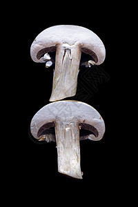 剪切蘑菇的两半在黑图片