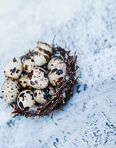 鹌鹑蛋在石头背景的巢穴中图片