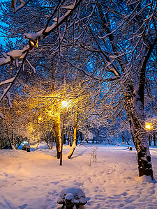 夜间大雪过后早上在公园里图片