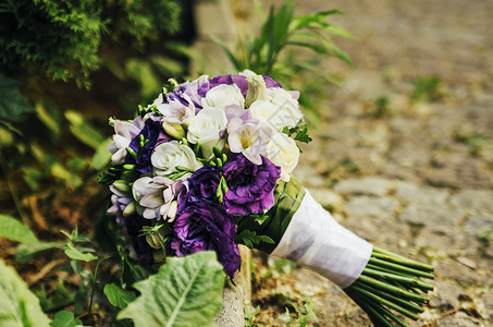 新婚白紫色花束露图片