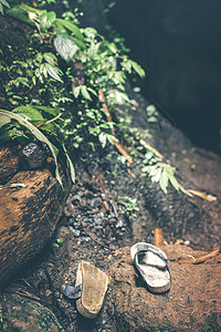 在雨林丛中失落的鞋子巴厘岛图片