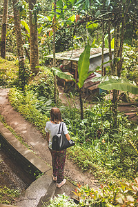 热带雨林印度尼西亚巴厘岛亚洲等图片