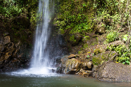 哥斯达黎加雨林中美丽的原始瀑布图片