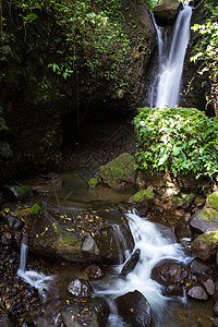 哥斯达黎加雨林中美丽的原始瀑布图片