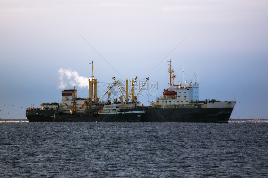 俄罗斯渔船转运在奥霍次斯克海捕捞的鱼图片