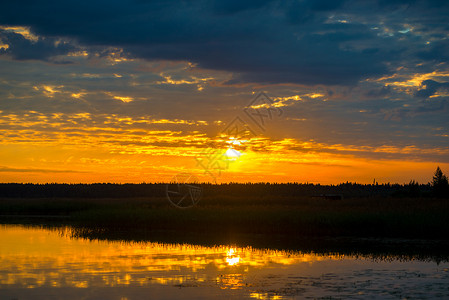 美丽的日落背光下湖边森林上方的橙图片
