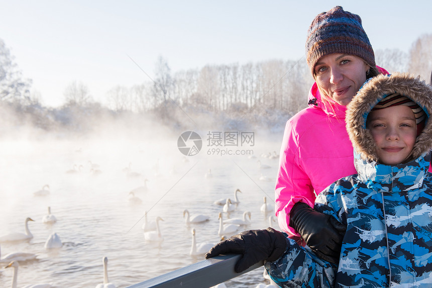 冬天不结冰湖的女人与白色的鸣天鹅图片