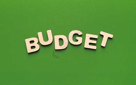 预算字题由绿色背景上的木制字母制成财务收入和增长概念顶视图片