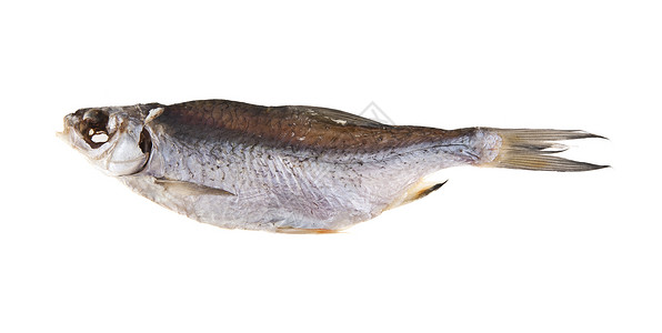 孤立在白色背景上的腌制鱼背景图片
