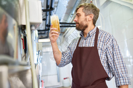 在现代啤酒厂检查酿造饮料质量时图片