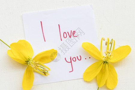 我爱你的贺卡纸笔记本用黄花写在背景图片