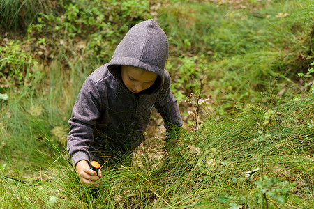 男孩在森林里收集蘑菇图片