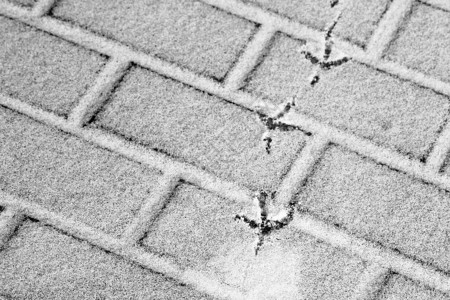雪覆盖了铺设的瓷砖下雪后的板块冬季路图片