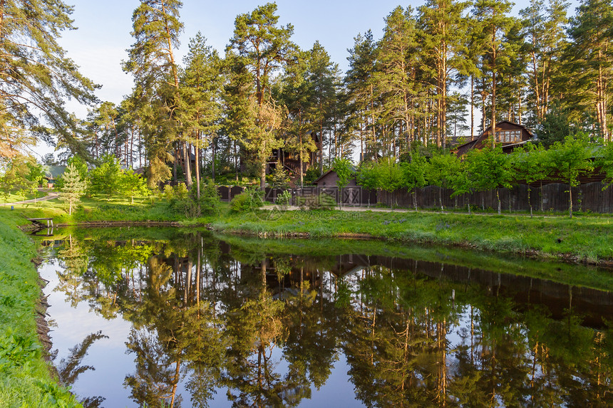 俄罗斯特维尔地区Svetlitsy村一个池塘中图片
