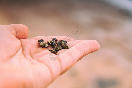 美丽的海滩和大海图片