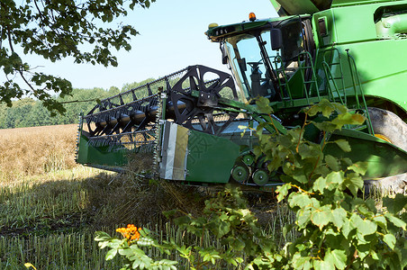 谷物收割机在田间作业农业机械在田间作图片