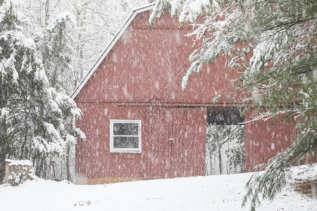 红色谷仓通过雪覆图片