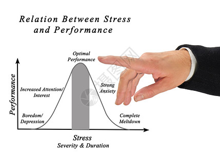 压力与能之间的关系应激反应与表图片