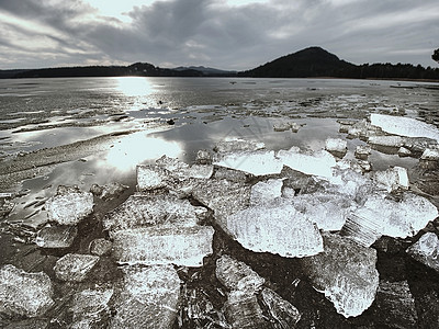 冰在海湾融化冰盖漂浮在水池上太阳反图片
