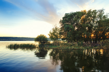 有芦苇和树木的美丽湖图片