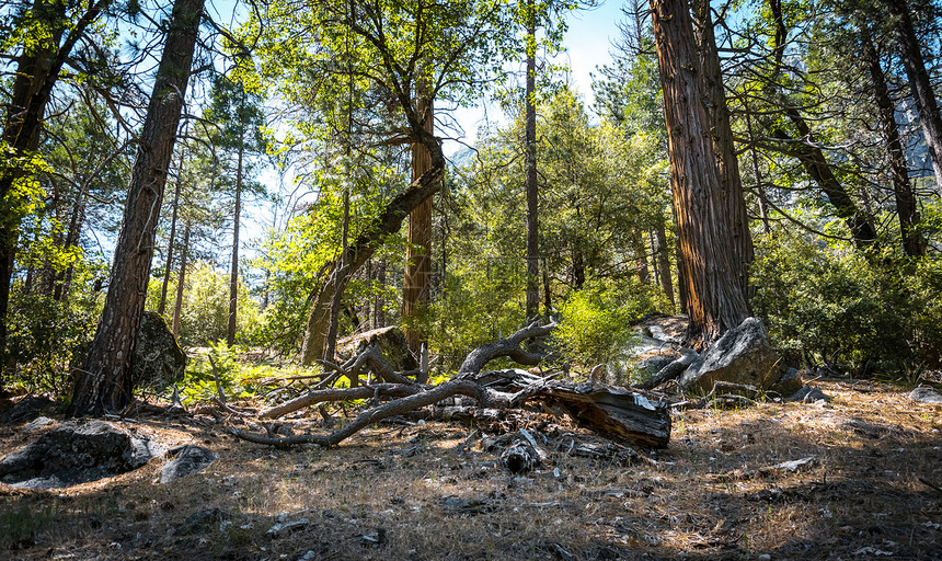 前往美国加利福尼亚州约塞米特公园旅行YosemiteNation图片