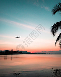 在热带海滩和椰子棕榈树上晒日落图片