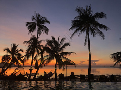 美丽的热带海滩和有棕榈树的图片