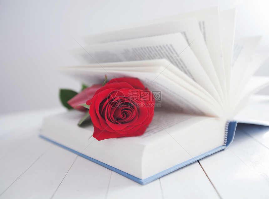 红玫瑰花在白木背景浪漫和爱情以及您信息图片