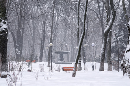 Mariinsky公园清晨降雪的风景照片图片