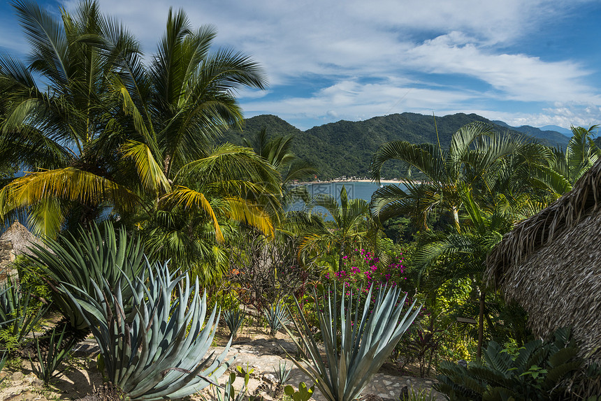 墨西哥哈利斯科海边热带森林的石塔小屋景象图片