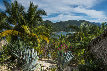 墨西哥哈利斯科海边热带森林的石塔小屋景象图片