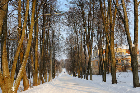 俄罗斯亚罗斯拉夫地区乌格利奇Uglich的雪覆盖公路两侧图片