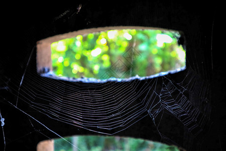 蜘蛛网在古老的弃居室和户外模糊的自然图片