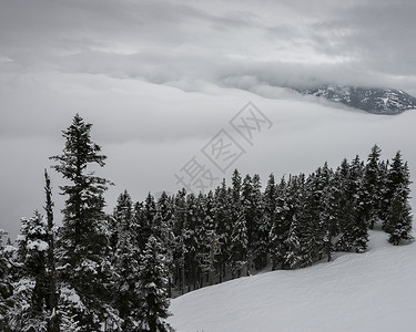 加拿大不列颠哥伦比亚省Whistler山上图片