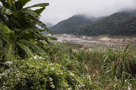 老挝湄公河流风景图片