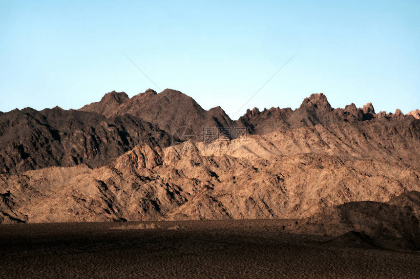 莫哈韦沙漠约书亚树图片