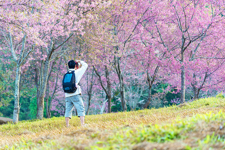 专业摄影师在公园拍摄樱树的照片图片