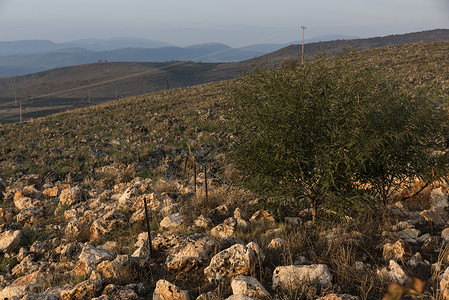 风景加利海加利以色列图片