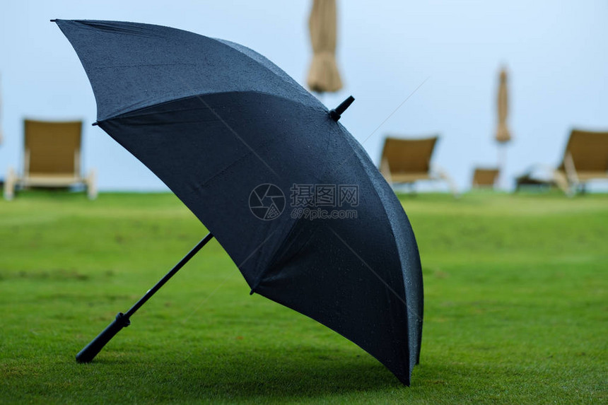 绿草背景的黑伞位置雨过后info图片