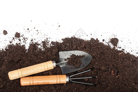 土壤中的园艺工具图片
