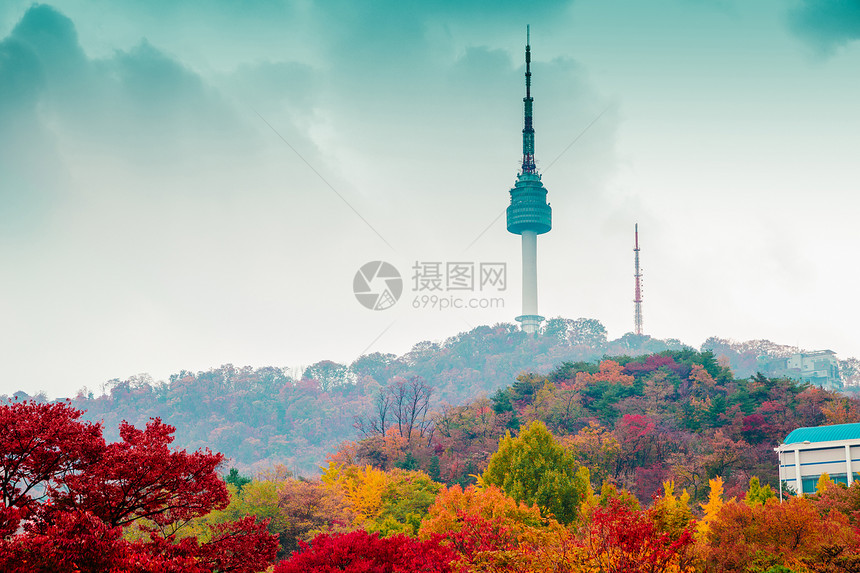 韩国南山首尔塔和秋枫图片