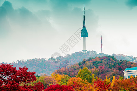 韩国南山首尔塔和秋枫图片