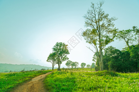 绿草场的美丽乡村景观图片