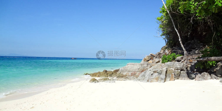 棕榈和热带沙滩海沙图片