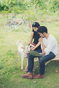 年轻教育夫妇坐在长椅上和野外的狗玩耍图片