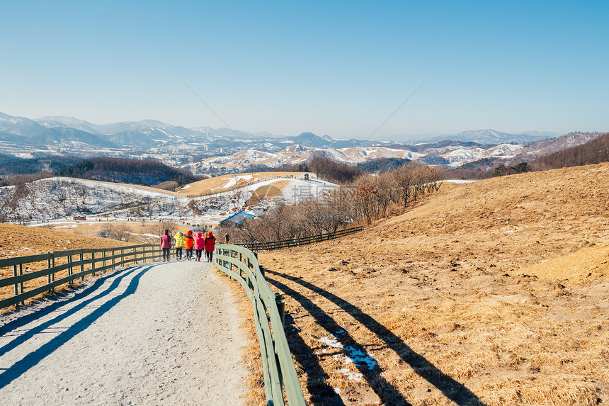 韩国平昌大关岭绵羊牧场的干草场和雪山图片